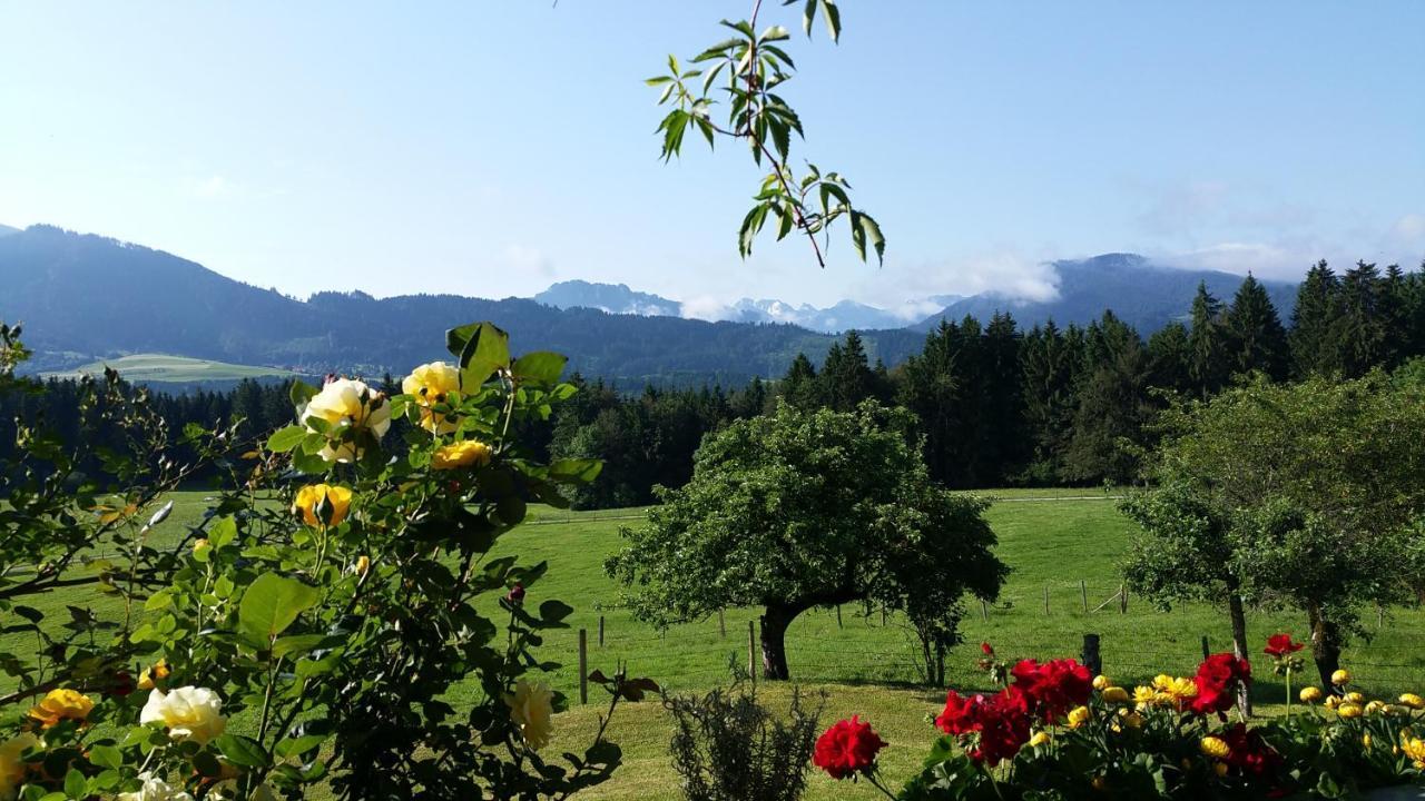 Alpine Lodge 维尔塔赫 外观 照片